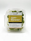 Sunflower Microgreens