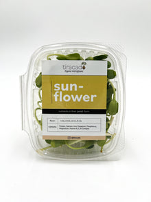  Sunflower Microgreens