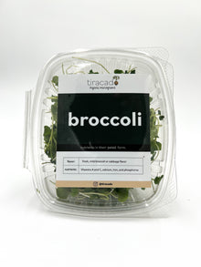  Broccoli Microgreens