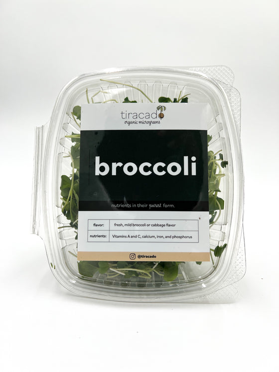 Broccoli Microgreens