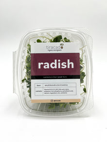  Radish Microgreens